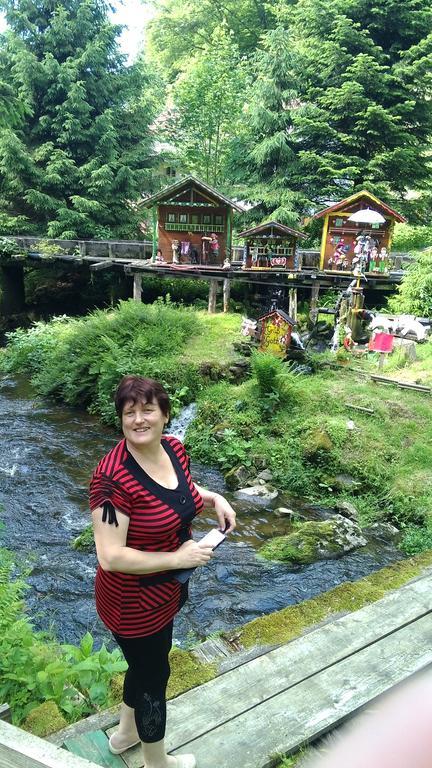 Landgasthof Zum Hirschenstein, Pension Garni 상트엥글마 외부 사진
